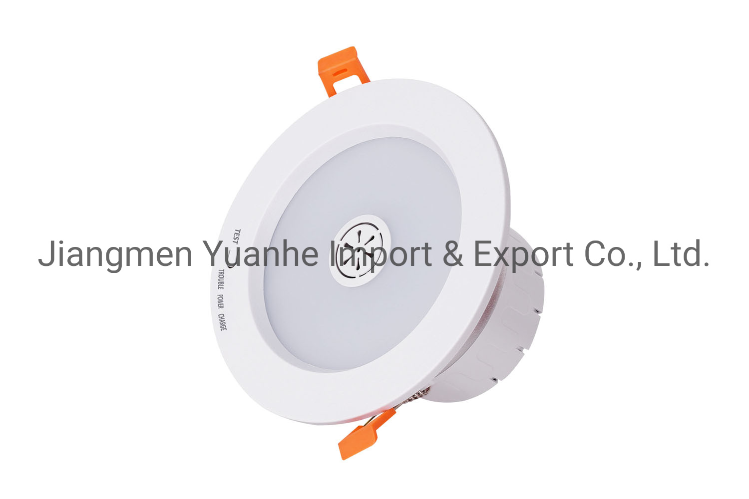 Voice-Activated Emergency LED Downlight
